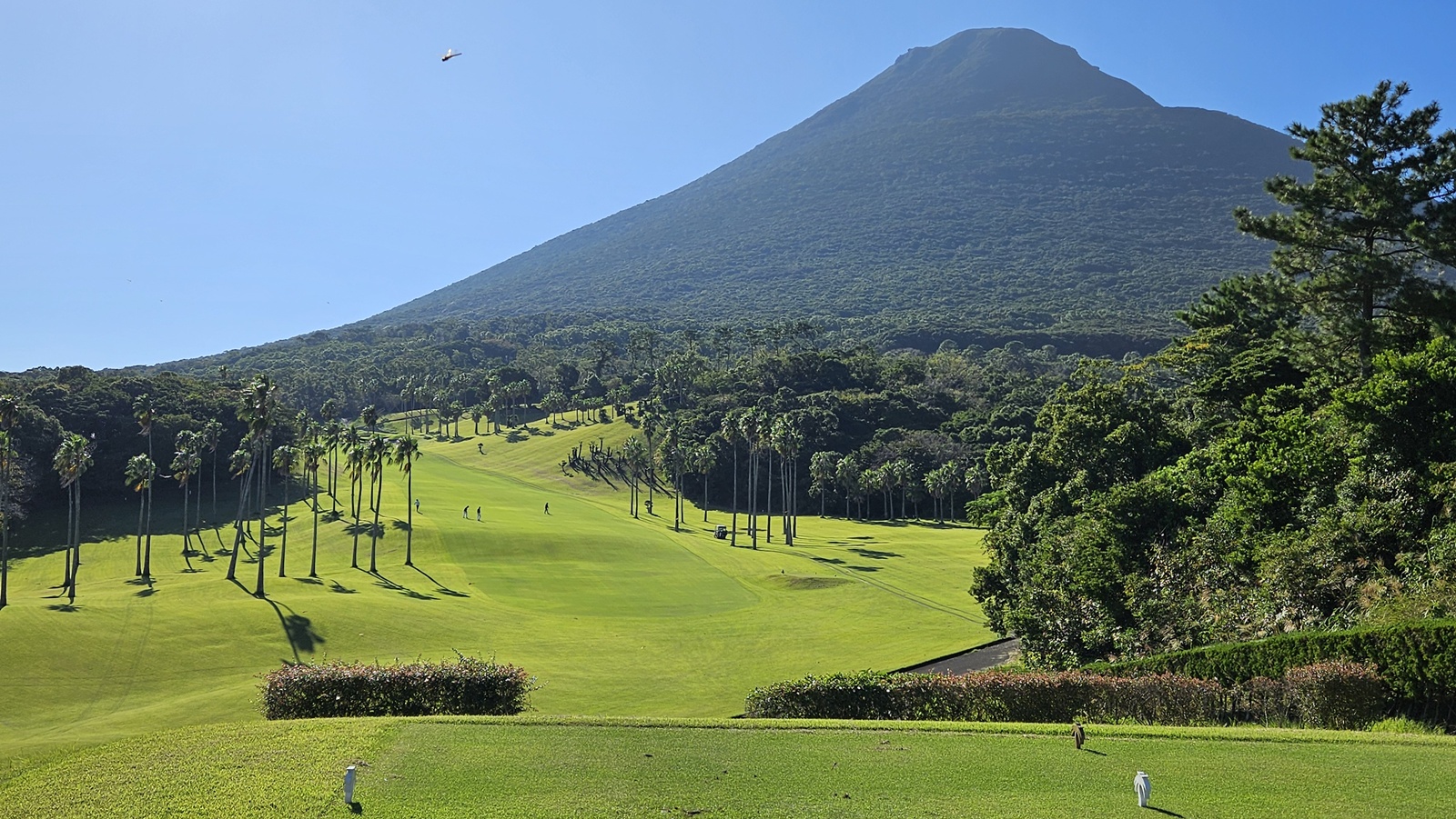 �̺꽺Ű 2�� Ư������ 5��