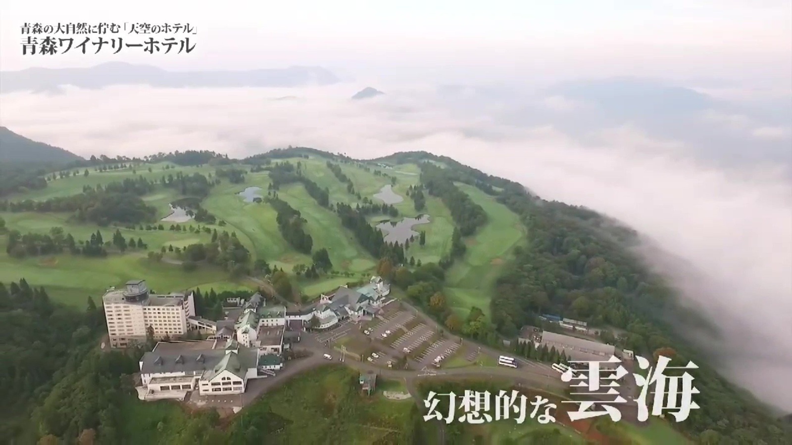 �ع� 700���� �ƿ��� �ξ�