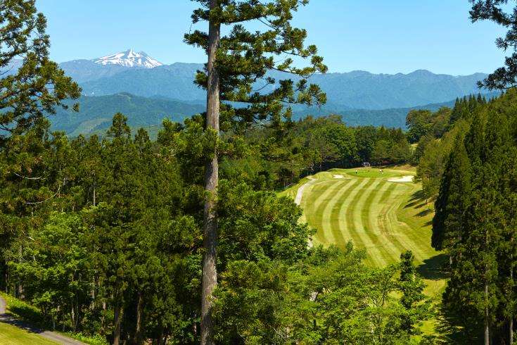 [2026�� �߼�����]���ϸ����� 4��5��(�ƽþƳ�)